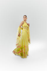 The Yellow Kallina