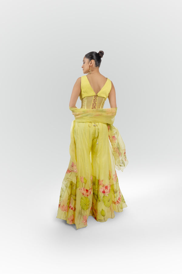 The Yellow Kallina