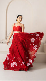Red Dahlia Dream