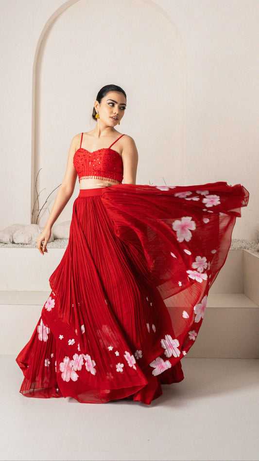 Red Dahlia Dream