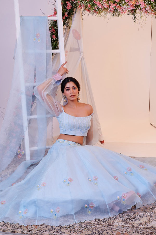 Mughal Blue Lehnga