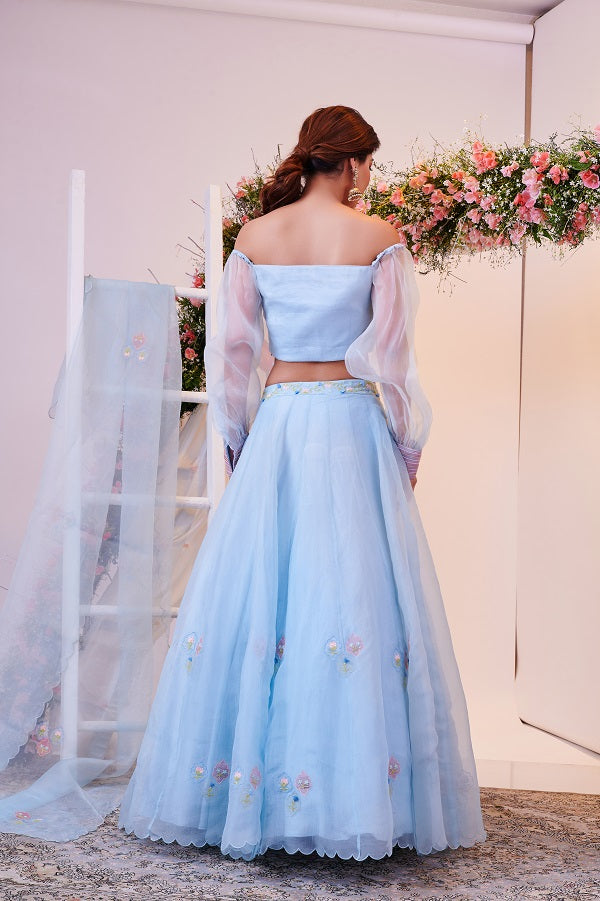 Mughal Blue Lehnga