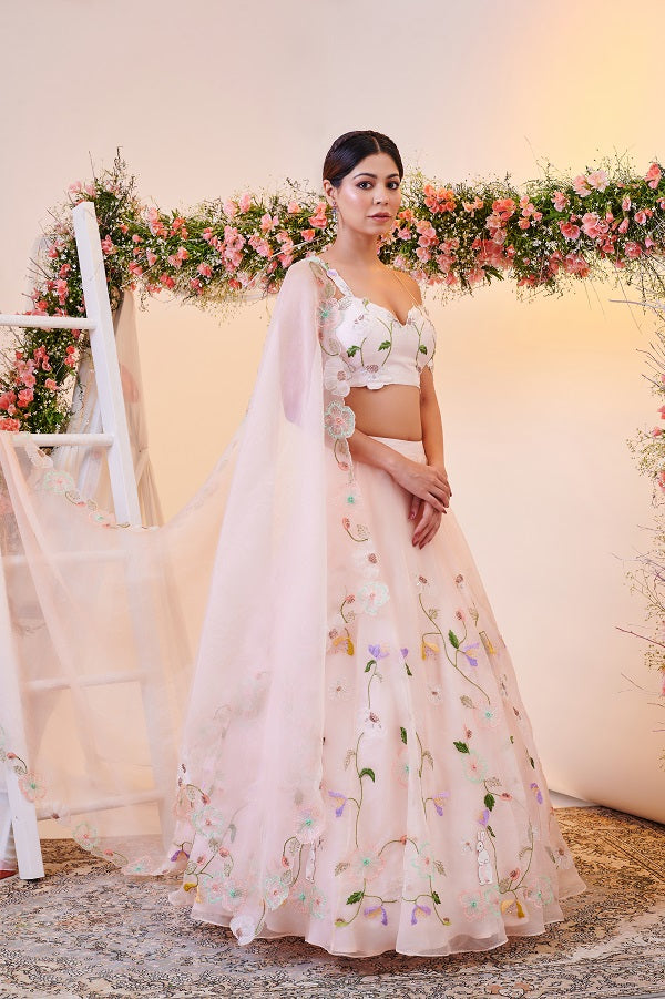 Rabbit Lehenga