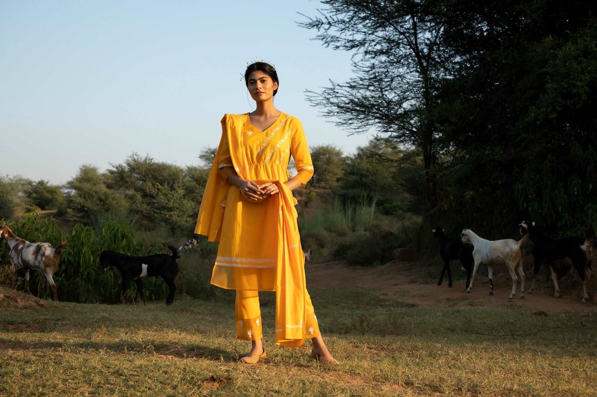 Yellow Oxeye Daisy Kurti